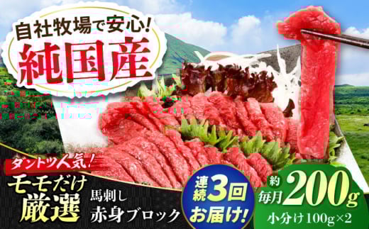 【全3回定期便】『純国産』熊本の味 赤身 馬刺し 約200g ブロック 冷凍 タレ付き【有限会社 九州食肉産業】 [AYCN109] 2120814 - 熊本県合志市