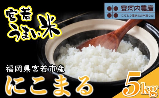 令和7年産　【先行予約】にこまる 5kg　【10月下旬より順次発送】福岡県宮若産〈安河内農産〉　[M04-3]　 米・食味国際大会金賞米 精米 ブランド米 コメ ご飯 白米 1993160 - 福岡県宮若市