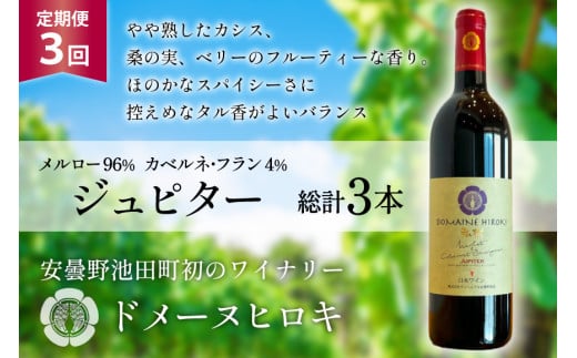 3回 定期便 ワイン ジュピター 750ml×1本 計3本 [ ヴィニョブル安曇野(ドメーヌ・ヒロキ) 長野県 池田町 48110812] ワイン 赤 赤ワイン 1186613 - 長野県池田町