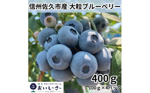 長野県産 生ブルーベリー 約400g （100g×4パック） ＜2025年7・8月出荷／北海道・沖縄・離島は配送不可＞信州 フルーツ 果物 完熟 大粒 甘い 先行予約 期間限定　旬彩【 ブルーベリー 長野県 佐久市 旬彩 】