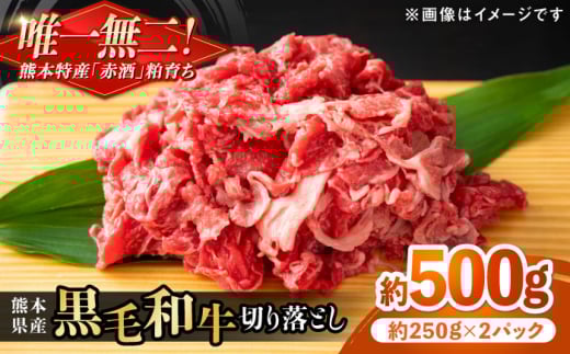 熊本県産 『原田畜産』 黒毛和牛 切り落とし 計約500g（約250g×2パック） 牛肉 牛【有限会社 九州食肉産業】 [AYCN126] 2120832 - 熊本県合志市