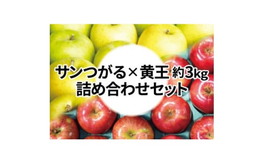 ＜25年8月より順次発送＞糖度12度以上保証! 黄王×サンつがる 約3kg 訳あり  クール便【1613844】