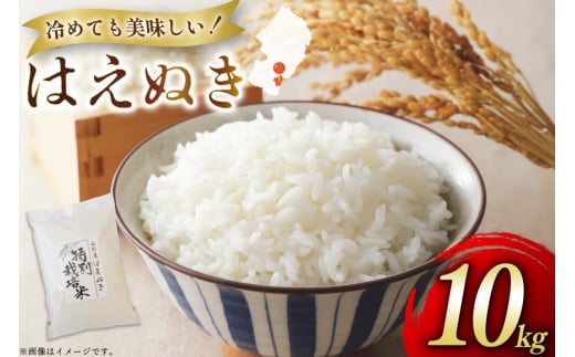 米 令和7年 はえぬき 10kg [渡部ファーム 山形県 高畠町 tk06ays810034] お米 白米 精米 ごはん ご飯 ブランド米 2135472 - 山形県高畠町