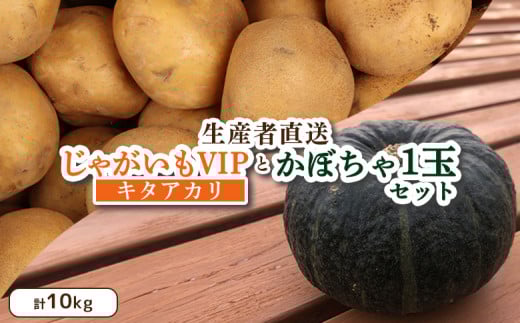 【先行予約】（生産者直送）じゃがいも VIP キタアカリ かぼちゃ 1玉 セット 計10ｋｇ いも 芋 イモ ジャガイモ きたあかり カボチャ 南瓜 オンライン 申請 ふるさと納税 北海道 留寿都 野菜 旬野菜 産地直送 新鮮 先行予約 詰め合わせ 留寿都村【12004】 1352037 - 北海道留寿都村