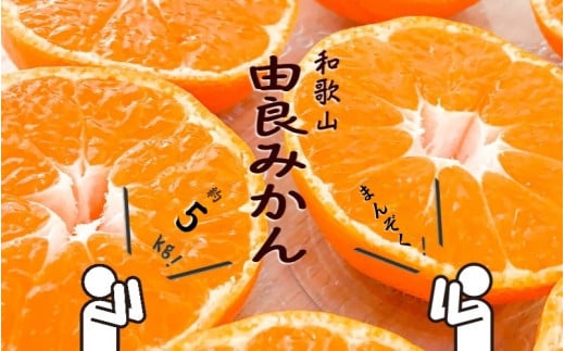 和歌山由良みかん　秀品　約５kg　サイズおまかせ(Ｌ・М・Ｓ)【sml137】