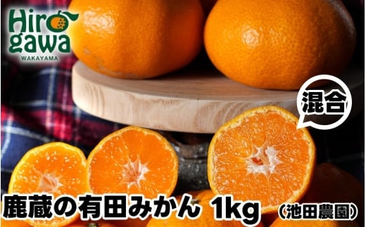 鹿蔵の 有田 みかん 訳あり 1kg 光センサー 選果 / 温州みかん 有田みかん 甘い 家庭用 和歌山 柑橘 ※11月順次発送予定 ※北海道・沖縄・離島への配送不可【ikd004-cm-1-nov】 2121424 - 和歌山県広川町