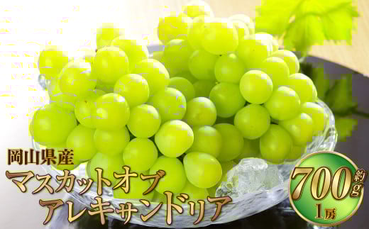 岡山県産 マスカット・オブ・アレキサンドリア 約700g（1房） 果物 フルーツ くだもの ぶどう ブドウ 葡萄 マスカット 冷蔵 国産 奈義町 【2025年6月下旬～7月下旬発送予定】