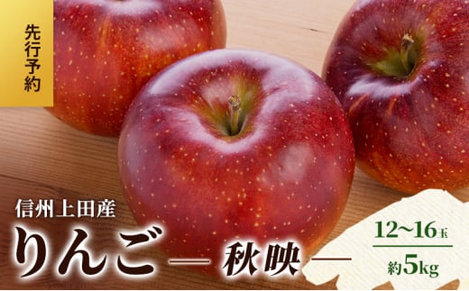りんご 信州上田産 秋映 家庭用 約5kg 12～16玉 リンゴ 林檎 5kg 果物 くだもの フルーツ デザート 旬の果物 旬のフルーツ 傷 長野県 長野 上田市[№5312-1368]