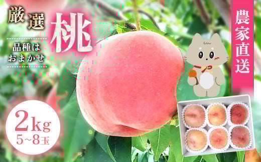 【2025年先行予約】《7月中旬～9月中旬出荷》 宮城県丸森町産 桃 5～8玉（約2kg）【48004】 2120877 - 宮城県丸森町
