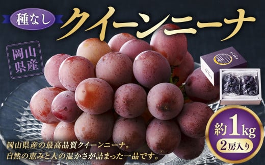 【種なし】 岡山県産 クイーンニーナ 1kg箱（2房入り） 【2025年8月下旬～9月上旬発送予定】 ／ ぶどう ブドウ 葡萄 大粒 種なし 種無し フルーツ 果物 くだもの 果実 2108706 - 岡山県美咲町
