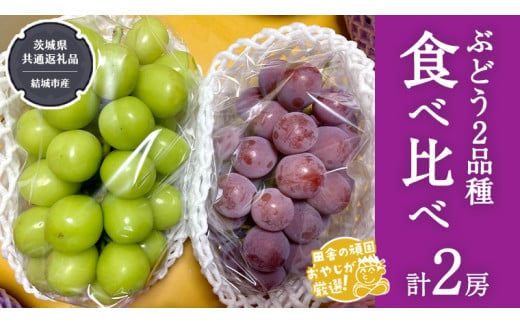 ぶどう 2品種 食べ比べ(各1房ずつ)[2025年8月より発送開始](茨城県共通返礼品 [ぶどう]:結城市産) 詰め合わせ 果物 フルーツ 茨城県産