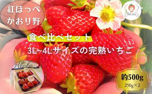 【先行予約・数量限定】【贈答用・3L~4L大粒・食べ比べ】紅ほっぺ＆かおり野セット500g（朝採れ完熟 約250g×2P） 2120701 - 愛知県大府市