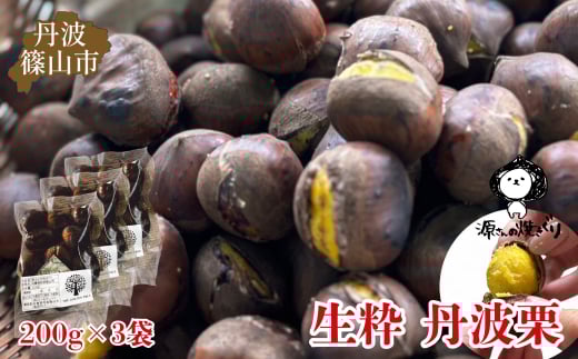 【2025年10月中旬より発送】生粋丹波栗　源さんの焼きぐり　 200g×3袋　プレミアム栗 期間限定 お取り寄せグルメ 高級 特産品 名産品 マロン 関西 西日本
