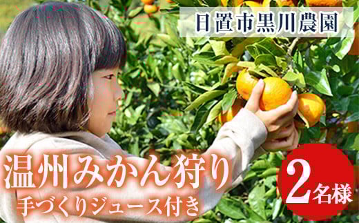No.1216 ＜先行予約受付中＞温州みかん狩り(2名分)＆人気のジュース付き(2本)不知火 みかん狩り 体験 日置市 果物 果実 フルーツ 柑橘 みかん ミカン ジュース ミカンジュース 期間限定【黒川農園】
