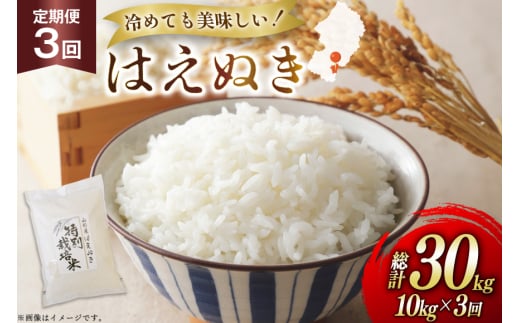 米 定期便 3回 令和7年 はえぬき 10kg 3回 計30kg [渡部ファーム 山形県 高畠町 tk06ays810043] お米 白米 精米 ごはん ご飯 ブランド米 2135515 - 山形県高畠町