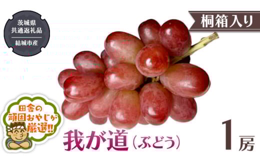 [ 桐箱入り ]我が道 ( ぶどう ) 1房 [2025年9月から発送開始](茨城県共通返礼品 [ぶどう]:結城市産) ぶどう 我が道 果物 フルーツ 季節 旬