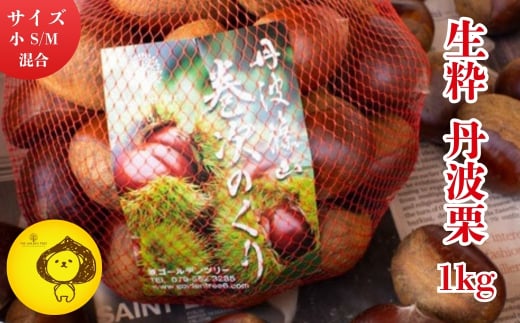 【2025年10月中旬より発送】生粋丹波栗　巻次のくり　小 S、M混合　1.0ｋｇ　プレミアム栗 期間限定 お取り寄せグルメ 高級 特産品 名産品 マロン 関西 西日本