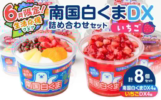 【 期間限定 生活応援 】セイカ食品 南国白くまDX・南国白くまDX（いちご味）詰め合わせセット　K051-002_01 2122160 - 鹿児島県鹿児島市
