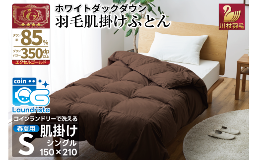 【春夏用】洗える 羽毛 肌掛け布団 シングル ホワイトダックダウン 85% 0.4kg (無地 ブラウン) [川村羽毛 山梨県 韮崎市 20743636] 掛け布団 布団 羽毛布団 ダウンケット ふとん 肌掛け ダウンケット 寝具 レビューキャンペーン コインランドリー 1971410 - 山梨県韮崎市