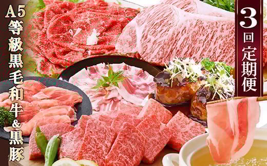 定期便(3回配送)鹿児島産A5等級黒毛和牛&黒豚 EE-6014_ 定期便 黒毛和牛 黒豚 サーロイン ステーキ ハンバーグ 焼肉 切り落とし 人気 おすすめ 送料無料 贈答 ギフト A5 鹿児島県 枕崎 【1471286】 1527093 - 鹿児島県枕崎市