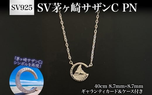 SV 茅ヶ崎 サザン C PN 40cm NC ロジウムコーティング加工 ギャランティカード ケース付き 茅ヶ崎サザン ちがさきサザンビーチ 神奈川県 茅ヶ崎市 2097967 - 神奈川県茅ヶ崎市