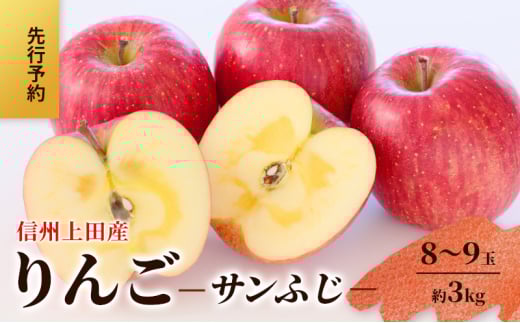 りんご 信州上田産 サンふじ 家庭用 約3kg 8～9玉 リンゴ 林檎 3kg サンフジ 果物 くだもの フルーツ デザート 旬の果物 旬のフルーツ 傷 長野県 長野 上田市[№5312-1370]