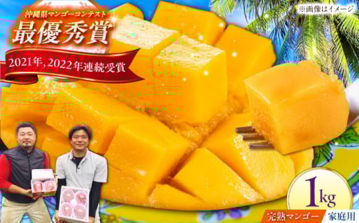 [家庭用]仲村農園の完熟アップルマンゴー 1kg マンゴー 沖縄 果物 フルーツ ギフト 沖縄市 / 仲村農園 [BCCU004]