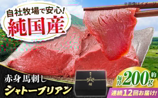 【全12回定期便】『純国産』熊本の味 赤身 馬刺し シャトーブリアン 約200g チルド 冷蔵 ブロック【有限会社 九州食肉産業】　馬刺 馬肉 桜肉 馬 うま ウマ ヘルシー 国産 新鮮 専用タレ 上質 低カロリー 高タンパク 冷凍 生食 生肉 専用醤油付 専用 醤油 専用タレ付 タレ ギフト 贈答用 食品 熊本県 合志 合志市  [AYCN064]
