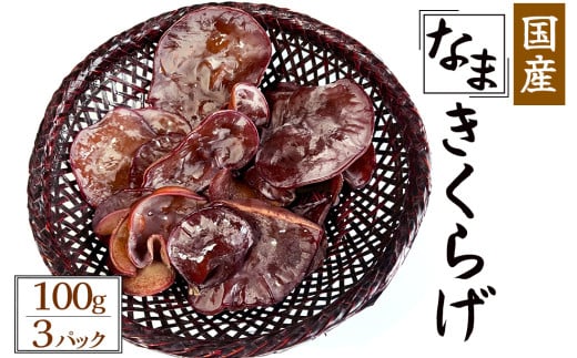 【季節限定】国産 生きくらげ 100g×3パック　【 国産 きくらげ きのこ 山菜 無農薬 】　<CR-1>