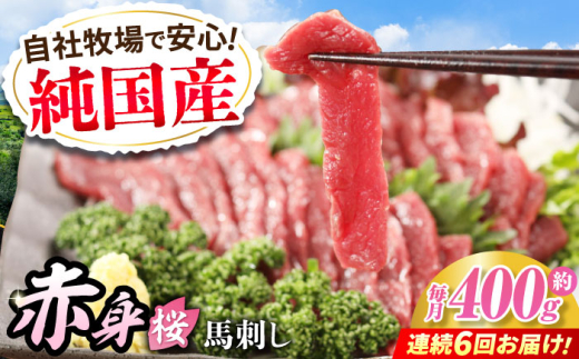 【全6回定期便】『純国産』熊本の味「桜」赤身 馬刺し スライス 約400g タレ付【有限会社 九州食肉産業】 [AYCN081] 2120803 - 熊本県合志市
