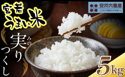 令和7年産　【先行予約】実りつくし 5kg　【10月下旬より順次発送】 福岡県宮若産〈安河内農産〉　[M788]　米・食味コンクール国際大会金賞米 精米 ブランド米 コメ ご飯 白米 2078613 - 福岡県宮若市