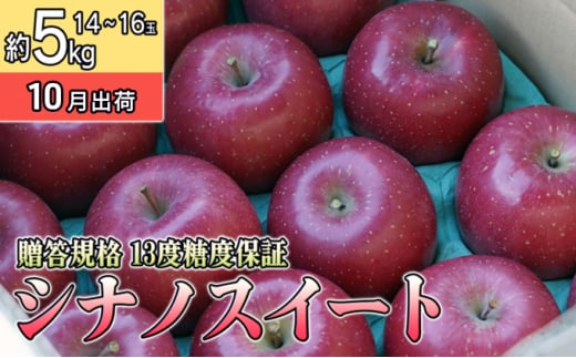 10月 贈答規格 シナノスイート約5kg（12～16個）13度糖度保証【青森りんご・ゆうきアップル・10月】 果物類 果物 フルーツ ジューシー 甘い  896112 - 青森県板柳町