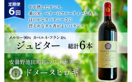 6回 定期便 ワイン ジュピター 750ml×1本 計6本 [ ヴィニョブル安曇野(ドメーヌ・ヒロキ) 長野県 池田町 48110813] ワイン 赤 赤ワイン 1186572 - 長野県池田町