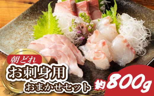 お刺身 国産 おまかせ セット 2～3種 約800ｇ 盛り合わせ 刺身 刺し身 刺身用 冷蔵 晩酌  鯛 タイ 鰤 ブリ 鮪 マグロ 平昌 ヒラマサ 勘八 カンパチ シマアジ ヒラメ 新鮮 魚 魚介 海鮮 産地直送 朝どれ 海鮮丼  城水産 三重県 南伊勢町 伊勢 志摩 741066 - 三重県南伊勢町