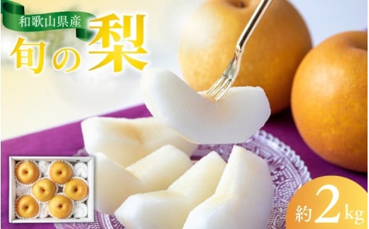 [先行予約受付]和歌山県産の美味しい梨 約2kg (6〜8玉入り)[2025年8月中旬頃から順次発送予定][mat103A]
