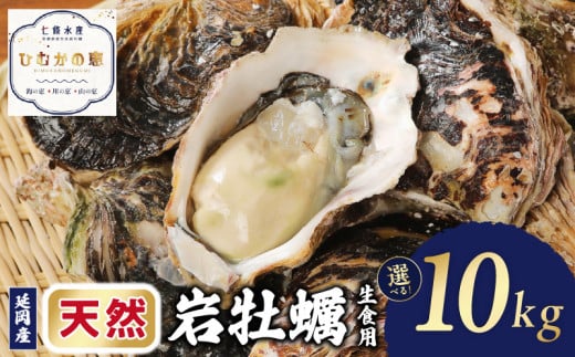 延岡産天然岩牡蠣(生食用)10kg N036-YZD025_1