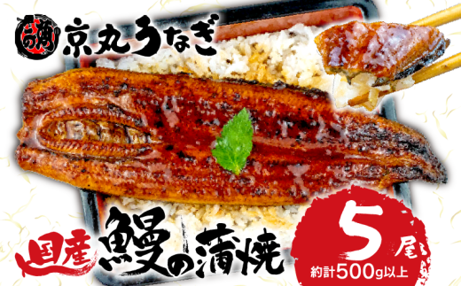 【 7月19日 土用 丑の日 対応 】国産 うなぎ 蒲焼 5尾 約500g 鰻 肝 佃煮 ギフトボックス セット 老舗 専門店 うなぎ処京丸 静岡  2135821 - 静岡県沼津市