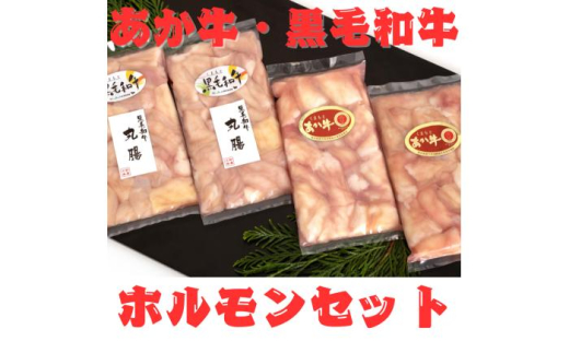くまもとあか牛 ホルモン セット 約200g×2袋 くまもと 黒毛和牛 ホルモンセット 約200g×2袋 合計約800g【くまもと食彩の力】 あか牛 和牛 牛肉 牛 肉 小腸 丸腸 食べ比べ 冷凍 国産 熊本 [AYAN030] 2120755 - 熊本県合志市
