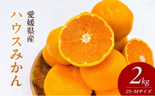 〈夏季限定！申込8/17まで〉温室育ちの温州みかん2.0kg(約15～25個)【甘い 夏のミカン オレンジ ハウスみかん 早生 冷やして 柑橘 フルーツ 果物 愛媛 砥部 JA 7月 8月 9月 ギフト 贈答】[№5310-0237]