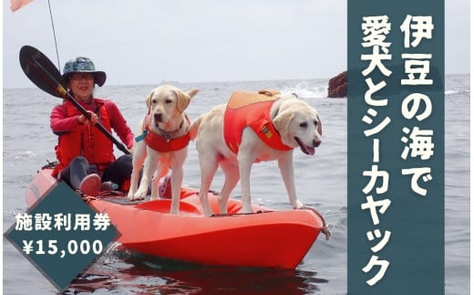 愛犬と一緒にシーカヤック 湊カフェ＆Pirates 施設利用券〈15,000円分〉　【 伊豆 アウトドア 犬 観光 カヤック 初心者 海 シーアクティビティ ふるさと納税 静岡 】　<BU-3>