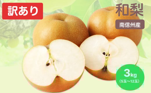 南信州産 訳あり 和梨 約3kg | 果物 フルーツ 果実 和梨 梨 幸水 豊水 南水 あきづき 訳あり わけあり 長野県 飯田市 信州 959225 - 長野県飯田市