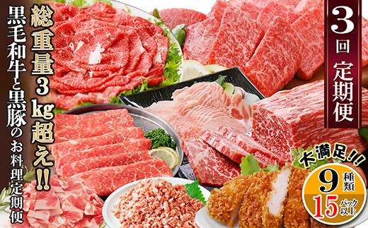 総重量3Kg越え、鹿児島県産黒毛和牛と黒豚のお料理定期便(3回配送)　EE0-0002_ 定期便 黒毛和牛 豚ロース 黒豚 牛すじ ミンチ 肉 おすすめ 送料無料 贈答 ギフト 【1504377】 1528590 - 鹿児島県枕崎市