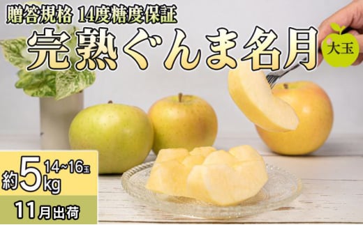 11月 贈答規格 完熟大玉ぐんま名月約5k