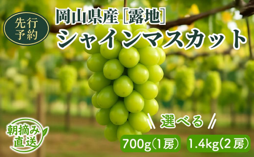 アイテムID:368951の画像1枚目