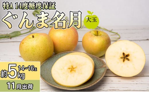 11月 特A ぐんま名月約5kg（12～1