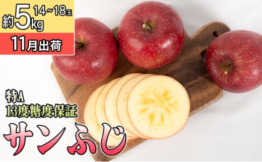 11月 特A 完熟 サンふじ約5kg（12