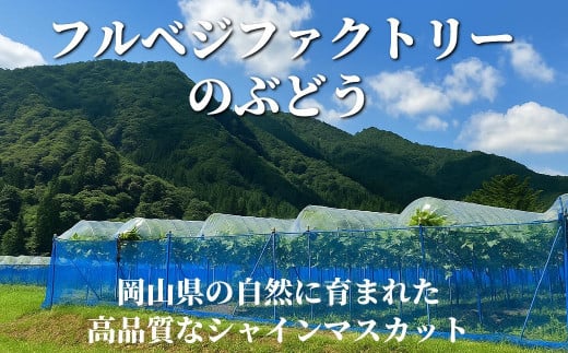 アイテムID:368951の画像5枚目