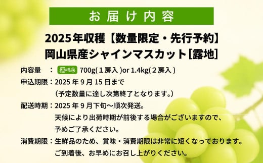 アイテムID:368951の画像5枚目