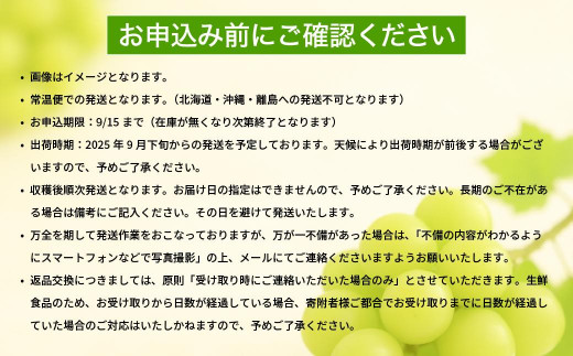 アイテムID:368951の画像6枚目