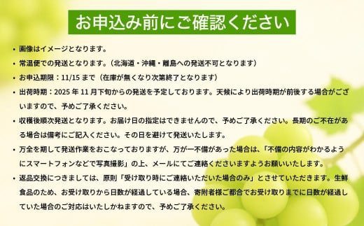 アイテムID:368951の画像7枚目